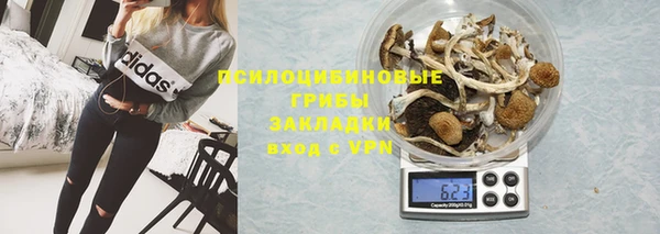 ПСИЛОЦИБИНОВЫЕ ГРИБЫ Заволжск
