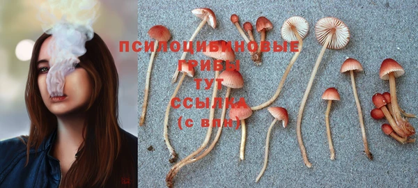 амфетамин Заводоуковск